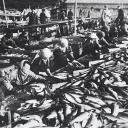 1937 год оказался весьма успешным для производства Озерновского рыбокомбината. Большую роль в этом играло стахановское движение. Фото из архивов Озерновского РКЗ № 55