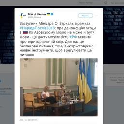 Твит Елены Зеркаль