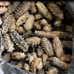 Продукцию из трепанга пытались незаконно вывезти в Китай. Фото пресс-службы Уссурийской таможни