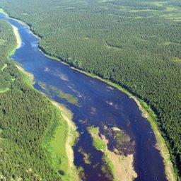 Согласно поправкам, рыбоохранные зоны будут заменены водоохранными. По мнению авторов, этого режима вполне достаточно для защитных функций. Фото Геннадия Александрова, WWF России