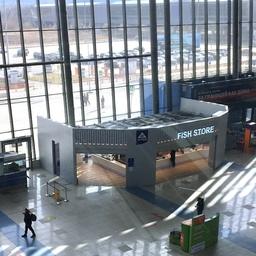 Группа компаний «Антей» в прошлом году открыла в аэропорту Владивосток специализированный рыбный магазин