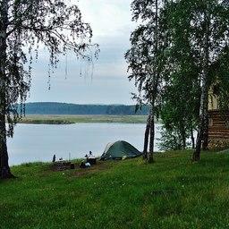 Аргазинское водохранилище, на котором расположен самый крупный участок. Фото Алексея Петрова