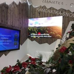 Каждый посетитель мог познакомиться с предложениями Камчатки в области туризма, вакансий и получения «дальневосточного гектара». Фото пресс-службы правительства края