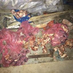 В Астраханской области обнаружили в цеху обилие некачественной рыбной продукции. Фото пресс-службы Пограничного управления ФСБ России по Республике Калмыкия и Астраханской области