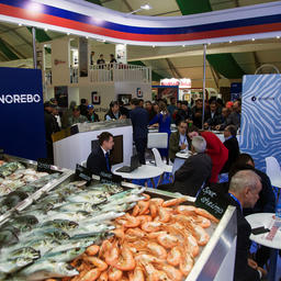 Под эгидой Росрыболовства свою продукцию в Марокко представили организации, которые ведут промысел в водах этой страны. Фото предоставлено выставочным оператором Expo Solutions Group