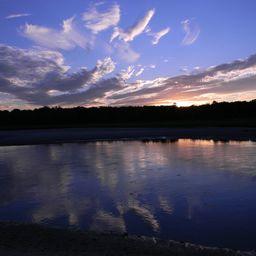 Морское побережье в округе Йорк. Фото U. S. Fish and Wildlife Service — Northeast Region («Википедия»). Файл доступен по лицензии Creative Commons Attribution 2.0 Generic