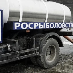 На Кавказе выпустят молодь ценных пород рыб. Фото пресс-службы Западно-Каспийского теруправления Росрыболовства