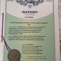 Патент на способ кормления ценного гидробионта. Фото пресс-службы университета