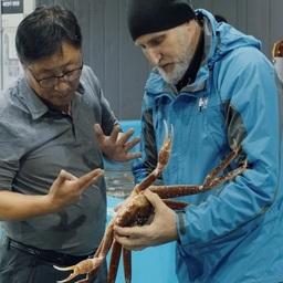 Одна из первых инициатив «Русского краба» в статусе члена ассоциации - предложение о разработке единого стандарта по приемке живых крабов при экспорте в страны АТР. Фото пресс-службы группы компаний