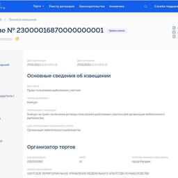 Документация торгов опубликована на портале regulation.gov.ru