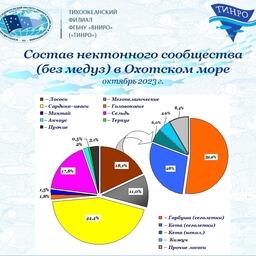 Статистика по Охотскому морю. Слайд пресс-службы ТИНРО