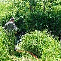 Выпуски проводят специалисты Вилюйского лососевого рыбоводного завода. Фото пресс-службы Северо-Восточного филиала Главрыбвода