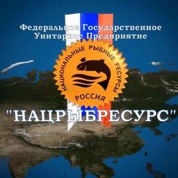 Подготовка к реорганизации Нацрыбресурса продолжается
