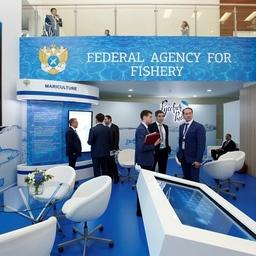 Отраслевой стенд на ВЭФ-2016. Фото пресс-службы Росрыболовства