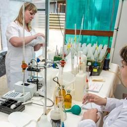 Специалисты Азовского НИИ рыбного хозяйства отслеживают, как строительство моста в Крым влияет на ихтиофауну. Фото пресс-службы института