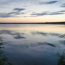 Краснояровское водохранилище (Кашарский район). Фото пресс-службы института