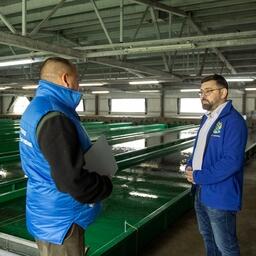 Благодаря работе филиала в этом году в реки региона будет отправлено около 35 млн штук молоди тихоокеанских лососей. Фото пресс-службы Северо-Восточного филиала Главрыбвода
