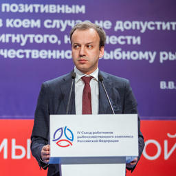 Вице-премьер Аркадий ДВОРКОВИЧ