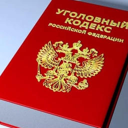 В Мурманске полицейские инициативно задержали двух мужчин, похитивших коробки с рыбной продукцией