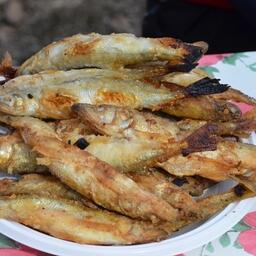 В Вологодской области разработали программу популяризации рыбной продукции