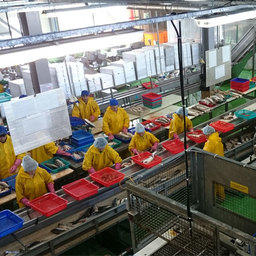 РСПП помог спасти отечественную рыбопереработку