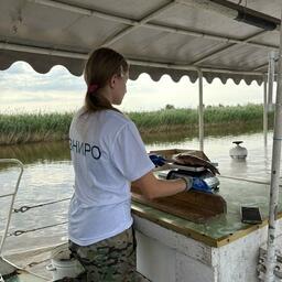 Волжско-Каспийский филиал ВНИРО выполнил исследования на западных водотоках дельты Волги. Фото пресс-службы института