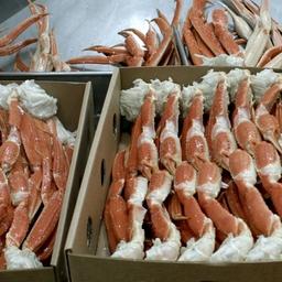 Разъяснения даны в том числе по варено-мороженым крабам и конечностям краба. Фото пресс-службы ГК «Русский краб»