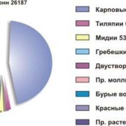 Таблица 12