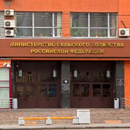 Министерство сельского хозяйства выпустило дополнительные разъяснения по ветеринарно-санитарной экспертизе рыбы, водных беспозвоночных и рыбной продукции