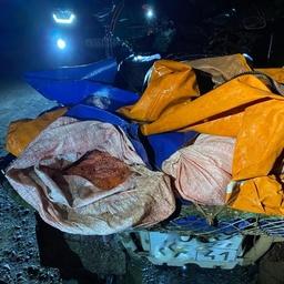 В Соболевском районе Камчатки задержан местный житель с лососевой икрой. Фото пресс-службы СВТУ ФАР