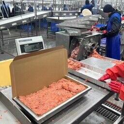 Участок с фаршмашиной. В сутки через одну машину можно пропустить до 10 тонн фарша