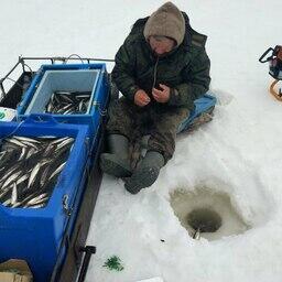 В бассейне Амура специалисты ХабаровскНИРО исследовали особенности нерестовой миграции и промысла проходных корюшек. Фото пресс-службы филиала