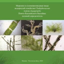 Издание «Морские и солоноватоводные виды водорослей семейства Cladophoraceae и рода Aegagropila Понто-Каспийского бассейна: полевой определитель» составили специалисты нескольких институтов. Фото пресс-службы АзНИИРХ