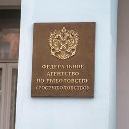 Федеральное агентство по рыболовству выпустило приказ о закреплении за компаниями долей квот добычи в инвестиционных целях — 2022