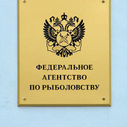 Неоднозначные подпункты убрали из правил распределения квот