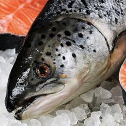 В ассортименте компании «Мореодор» более 300 видов продукции. Фото пресс-службы ESG
