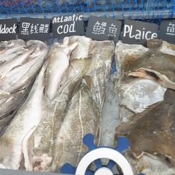 Российская рыбная продукция на международной выставке в китайском Циндао