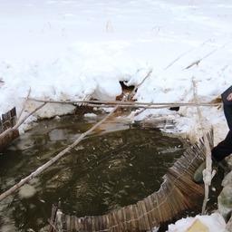 Полиция и рыбоохрана осматривают оборудованный котец. Фото пресс-службы Нижнеобского теруправления Росрыболовства