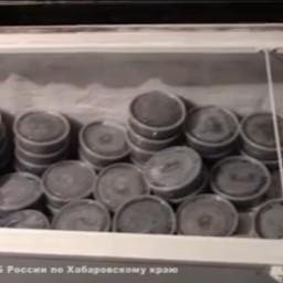 Почти тонну черной икры изъяли правоохранители в Комсомольске-на-Амуре. Оперативная съемка УФСБ по Хабаровскому краю