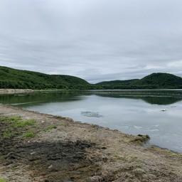 Вода «зацвела» на озере Тунайча в районе пляжа Солнечный. Фото пресс-службы СахНИРО
