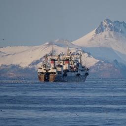 Рыбный промысел на Дальнем Востоке