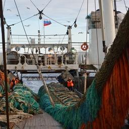 Рыбный промысел на Дальнем Востоке. Фото предоставлено «Океанрыбфлотом»