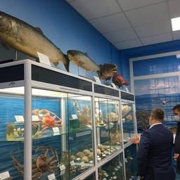 Морской музей Тихоокеанского филиала ВНИРО (ТИНРО)