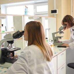 Кроме Артема Бойко над проектом трудится команда исследователей департамента «Пищевые биотехнологии» КамчатГТУ. Фото пресс-службы правительства края