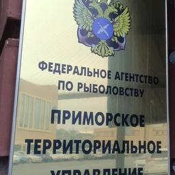 Торги по рыбоводным участкам планируется провести в Приморском теруправлении Росрыболовства