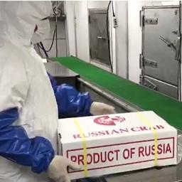 На производстве «Русского краба» соблюдаются все антиковидные меры. Фото предоставлено группой компаний