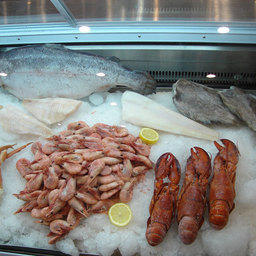 13-я Международная выставка «China Fisheries & Seafood Expo». Циндао, ноябрь 2008 г.