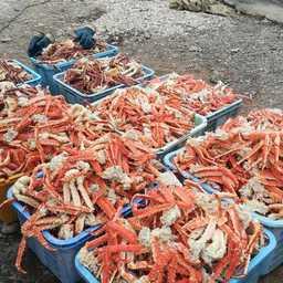 В Приморском крае пограничники задержали несколько партий морепродуктов без документов. Фото пресс-группы регионального Погрануправления ФСБ России