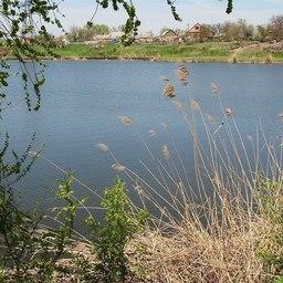 Река Средний Егорлык, на которой расположены шесть участков. Фото Ольги Буториной. Файл доступен по лицензии Creative Commons Attribution-Share Alike 3.0 Unported
