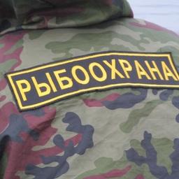 Плановые проверки при федеральном госконтроле (надзоре) в области рыболовства и сохранения водных биоресурсов теперь исключены